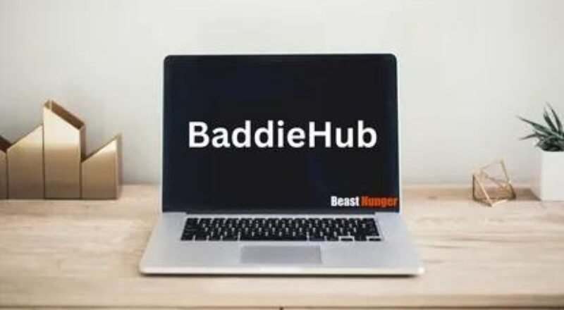 BaddieHub: Ultimate Destination All Things Fashion, Beauty