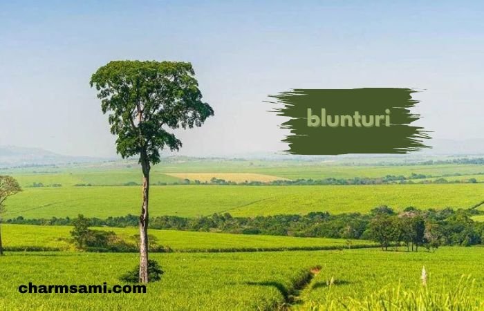 Blunturi: A Journey Through Tradition and Modernity