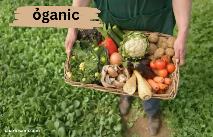 The Ultimate Guide to ỏganic: Benefits, Practices, Future