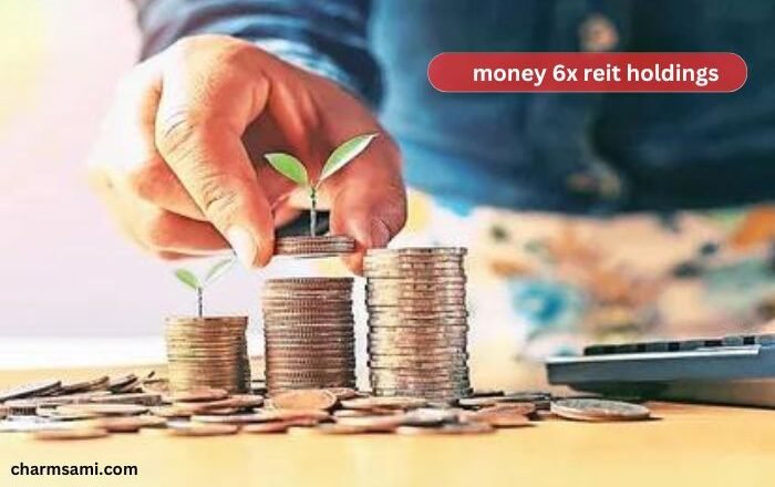 Understanding money 6x reit holdings: A Comprehensive Guide